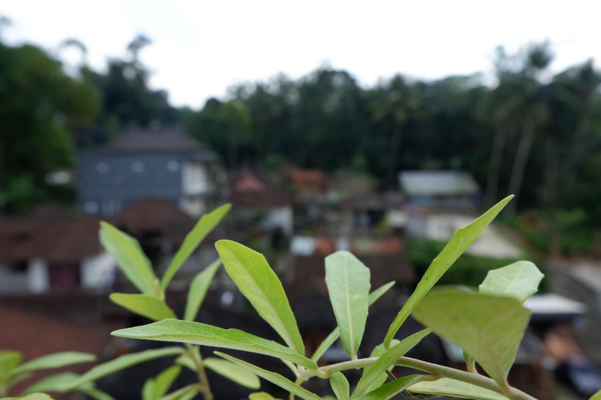 Ramaya Ubud View by EPS Zewnętrze zdjęcie